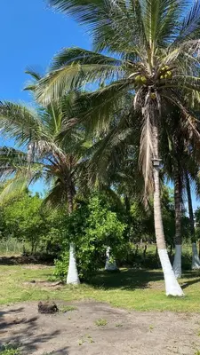 Gallery image of Villa Mediterránea in Tubará