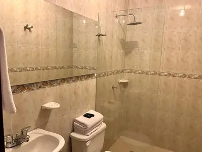 a bathroom with a shower and a toilet and a sink at Hotel Boutique Casa Pere in Cartagena de Indias