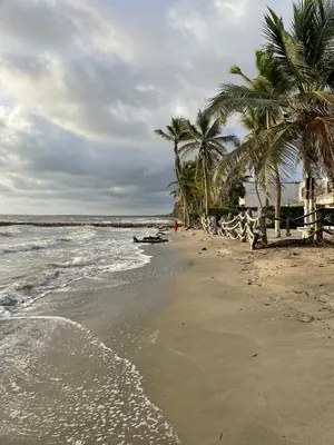 a sandy beach with palm trees and the ocean at Cabaña cerca al Mar con Pisicina y AC en Tolú in Tolú