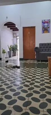a cat laying on the floor in a room at Hostal Casa Lara in Cartagena de Indias