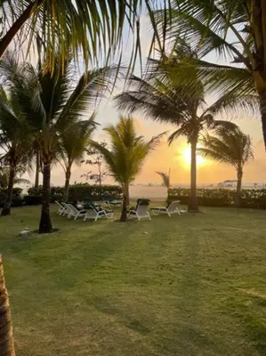a group of chairs and palm trees on the beach at Cartagena- Apto con acceso y vista al mar Morros Ultra in Cartagena de Indias