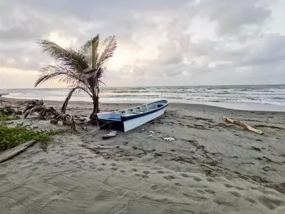 a boat sitting on the beach with a palm tree at Dúplex de lujo con vista al mar - San Bernardo del Viento in San Bernardo del Viento