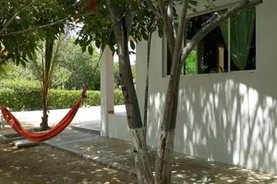 a hammock hanging from a tree next to a building at Cabaña 2 en la mejor playa de Coveñas in Coveñas