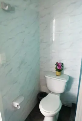 a bathroom with a toilet with a plant on the tank at Estudio tipo Loft Amoblado en Bocagrande Cartagena 801A in Cartagena de Indias