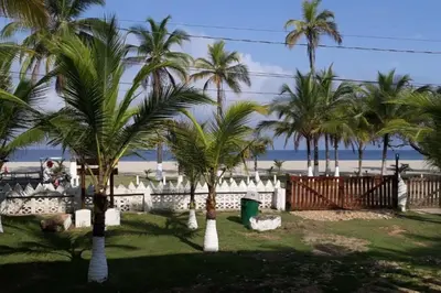 a group of palm trees in a yard with the beach at Apartamento frente al mar mejor playa en Coveñas in Coveñas