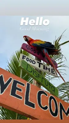 a colorful bird perched on top of a street sign at Tequila SunBeach Baru Eco-Hotel in Baru