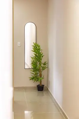 a hallway with a plant and a mirror at Excelente ubicación, cómodo apartamento in Barranquilla