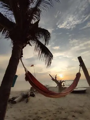 a hammock on a beach with a palm tree at Palenque Beach House in San Onofre