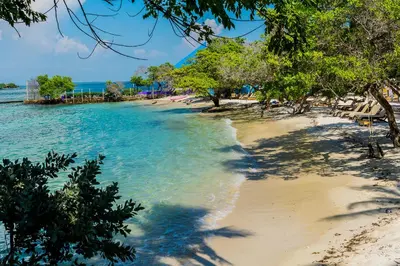 a beach with trees and blue water on it at Hotel Rosario de Mar by Tequendama in Isla Grande