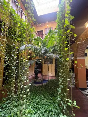 a room filled with lots of green plants at hotel san nicolas colonial in Barranquilla