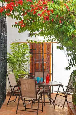 a table and chairs under a tree with red flowers at Casa Blanca María Barranquilla - Authentic republican house in Barranquilla