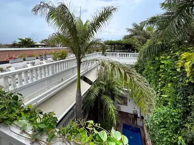 a palm tree on the balcony of a building at Casa Belle Cartagena Hotel Boutique in Cartagena de Indias