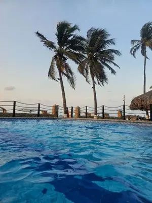 a swimming pool with palm trees in the background at Apartamento 201 Palmar de los vientos in San Bernardo del Viento