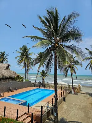 a palm tree next to a swimming pool next to the beach at Apartamento 201 Palmar de los vientos in San Bernardo del Viento
