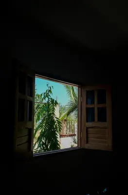 a window with a view of a palm tree at Cabañas en San Antero Bambumar3 in San Antero