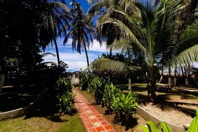 a brick path with palm trees on the beach at U-GO Edificio Faro en El Laguito, Cartagena in Cartagena de Indias