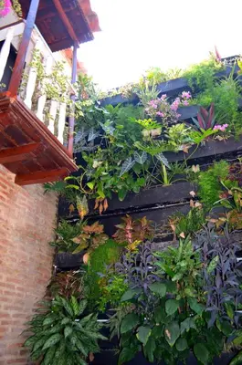 a garden with plants and flowers on a building at Hotel Galeria la Trinidad in Cartagena de Indias