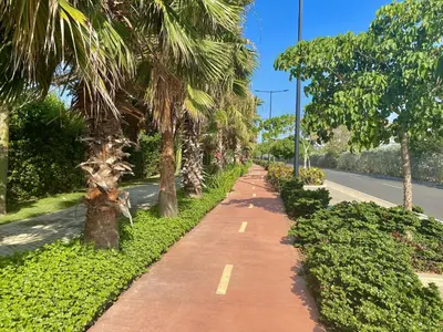 a sidewalk with palm trees on the side of a road at Fantastic Apartment/Beach Front Luxury in Cartagena de Indias