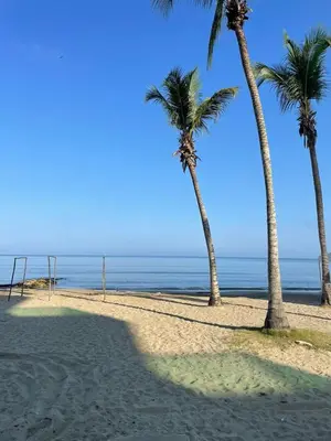 two palm trees on a beach with the ocean at Habitacion Playa Linda 103 in Coveñitas