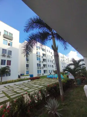 a palm tree in front of a building at Hospedaje y Alojamiento Familiar in Coveñas