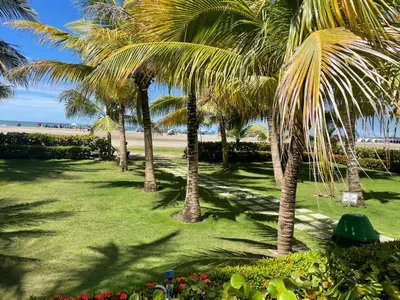 a row of palm trees on a lawn near the beach at Apartamento de lujo Morros ULTRA con vista y acceso directo al mar , Cartagena de Indias in Cartagena de Indias