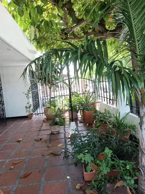 a greenhouse with plants in pots on a brick floor at Beach Airport House in Cartagena de Indias