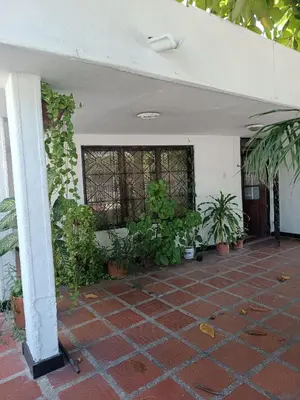 a patio with plants and a window in a building at Beach Airport House in Cartagena de Indias
