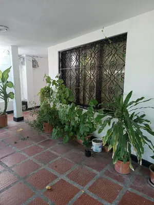 a room with potted plants and a wall at Beach Airport House in Cartagena de Indias
