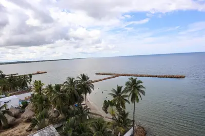 a view of a large body of water with palm trees at Magico Apartamento Frente al Mar 4 Habitaciones O62 in Coveñas