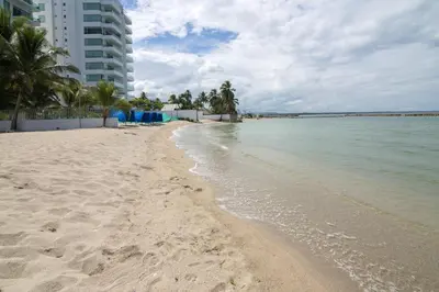 a beach with palm trees and the ocean at Magico Apartamento Frente al Mar 4 Habitaciones O62 in Coveñas