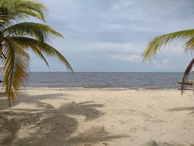 a beach with two palm trees and the ocean at Cabañas OnBeach in San Antero