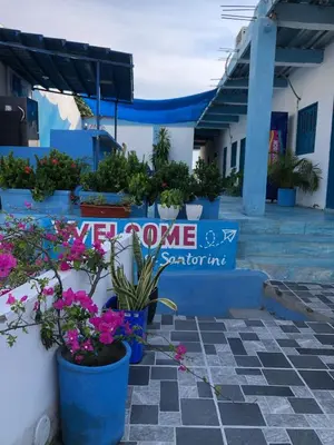 a group of potted plants inront of a building at Casa Santorini in Cartagena de Indias