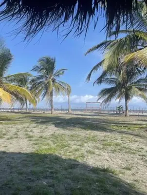 two palm trees in a field with the ocean at Casita del Viento in San Bernardo del Viento