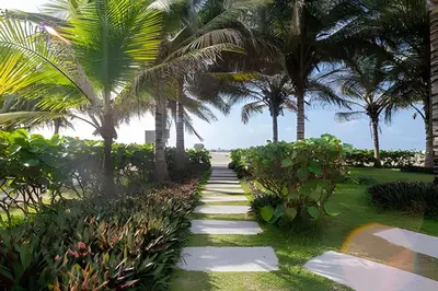 a path leading to the beach with palm trees at 2 Dormitorios Morros. Vista Ciénaga y salida playa in Cartagena de Indias