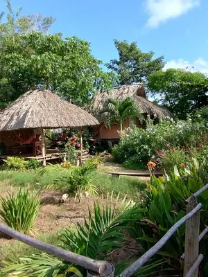 a couple of huts with straw umbrellas at Cabañas La Múcura in San Onofre
