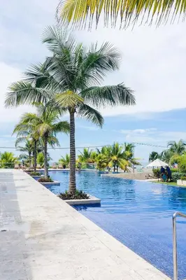 a palm tree next to a swimming pool at U-GO Morros Ultra in Cartagena de Indias