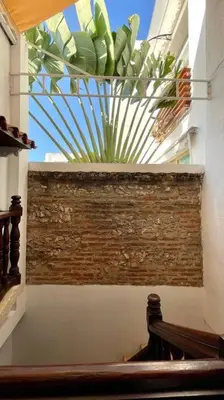 a stairway with a bench and a plant on a wall at Gorgeous 8 BR House w/ Pool in the Old City in Cartagena de Indias
