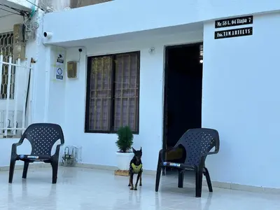 a dog standing between two chairs in front of a house at Casa Tamarielys 3 Habitaciones in Cartagena de Indias