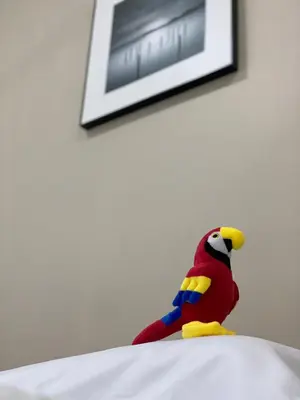 a stuffed parrot sitting on top of a bed at Guakmaya hostel in Cartagena de Indias
