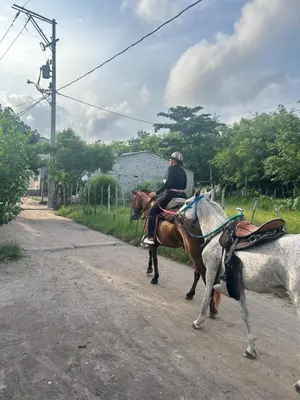 two people riding horses down a dirt road at Punta Arena EcoHostal & EcoFit - Your Eco-Friendly Oasis in Playa Punta Arena
