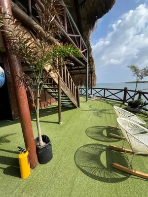 a resort with palm trees and chairs and the ocean at El Arca in Tintipan Island