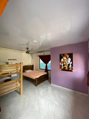 a bedroom with a bed and a purple wall at Cabaña en Santiago de Tolú. in San Silvestre