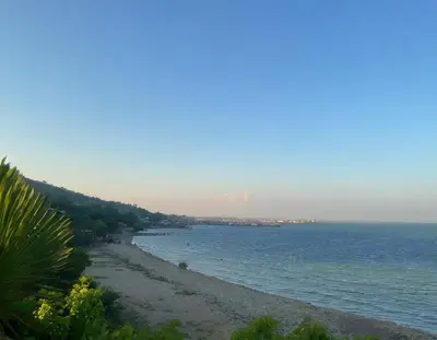 a beach with a palm tree and the ocean at Punta Arena EcoHostal & EcoFit in Playa Punta Arena