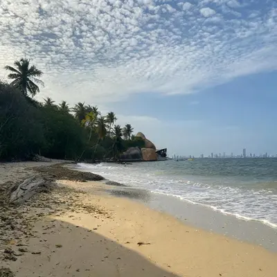 a sandy beach with palm trees and the ocean at Punta Arena EcoHostal & EcoFit - Your Eco-Conscious Oasis in Cartagena de Indias