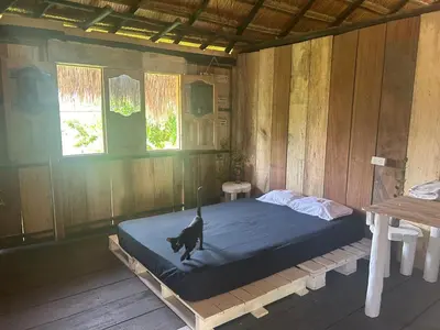 a black cat sitting on a bed in a room at Punta Arena EcoHostal & EcoFit - Your Eco-Conscious Oasis in Cartagena de Indias