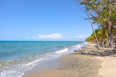 a sandy beach with palm trees and the ocean at Cabaña Tierramia 1 in San Silvestre