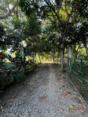 a dirt road with a fence and trees at Casa finca Santiago Tolú in Altamira