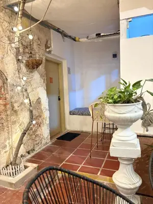 a patio with a plant in a white vase at Casa Zaguan in Cartagena de Indias