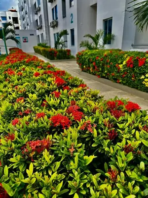 a garden of flowers in front of a building at Apartamento de descanso Om Shanti Om in Coveñas