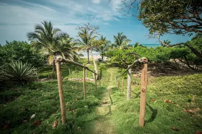 a group of bamboo poles in the grass near the beach at Pajarito Eco-Lodge frente al mar in Cedro